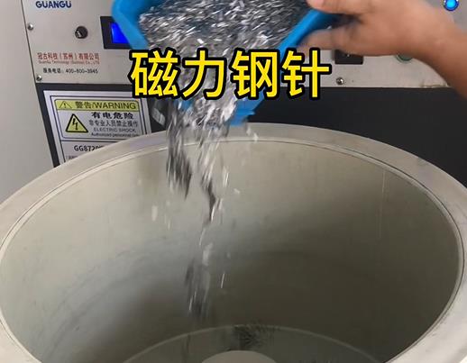 清新不锈钢箍用钢针